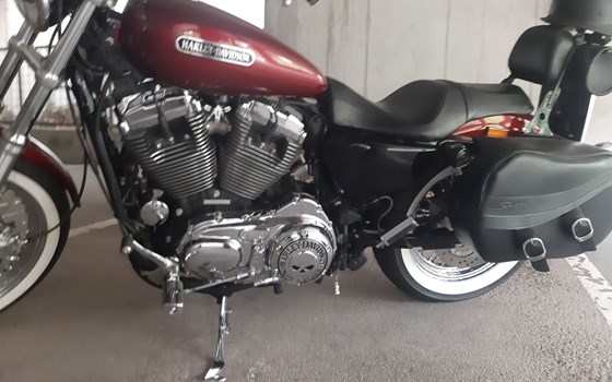 Gebrauchtmotorrad Harley-Davidson Sportster XL 1200 L Low - Bild 1