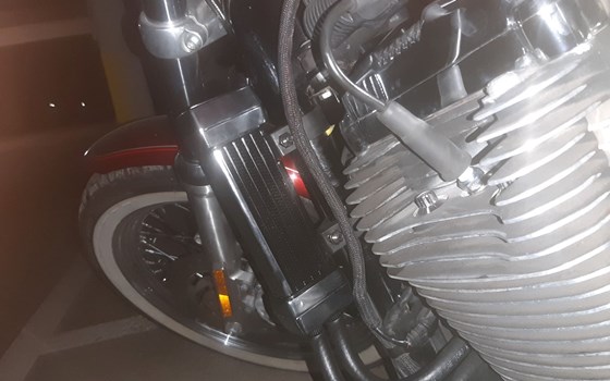 Gebrauchtmotorrad Harley-Davidson Sportster XL 1200 L Low - Bild 3