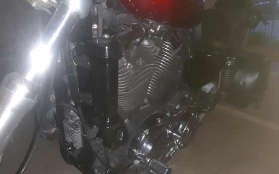 Gebrauchtmotorrad Harley-Davidson Sportster XL 1200 L Low - Bild 6