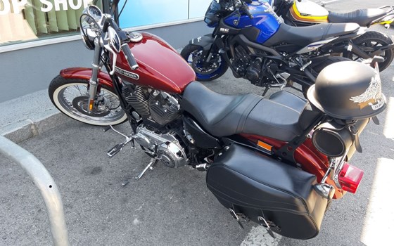 Gebrauchtmotorrad Harley-Davidson Sportster XL 1200 L Low - Bild 8