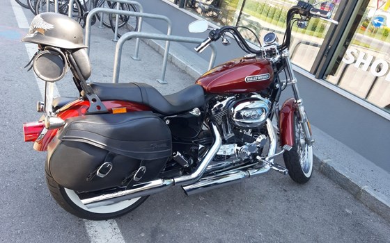 Gebrauchtmotorrad Harley-Davidson Sportster XL 1200 L Low - Bild 9