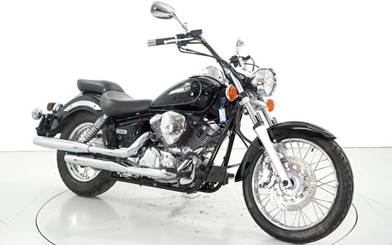 Motorrad Occasion Yamaha XVS 125 Drag Star - Bild 2