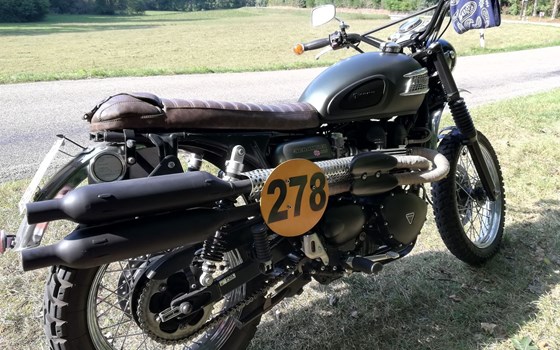 Gebrauchtmotorrad Triumph Scrambler 900 - Bild 1