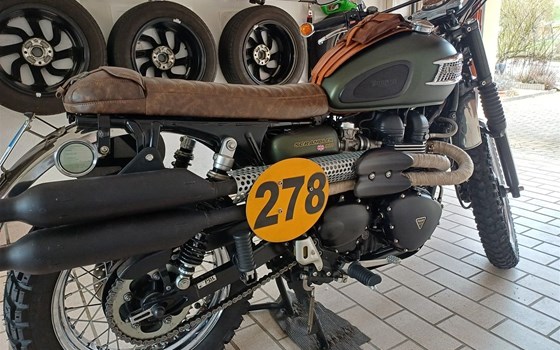 Gebrauchtmotorrad Triumph Scrambler 900 - Bild 2