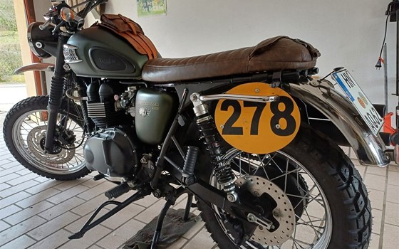 Gebrauchtmotorrad Triumph Scrambler 900 - Bild 3