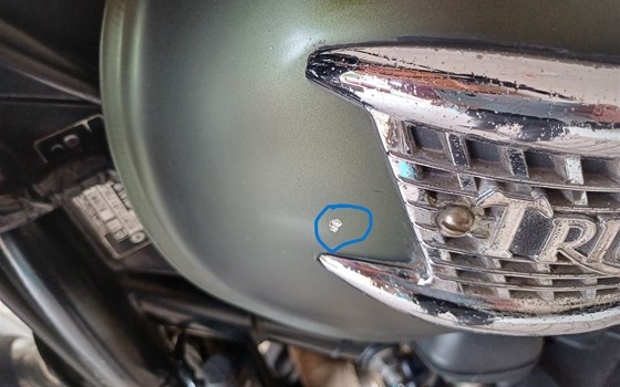 Gebrauchtmotorrad Triumph Scrambler 900 - Bild 7