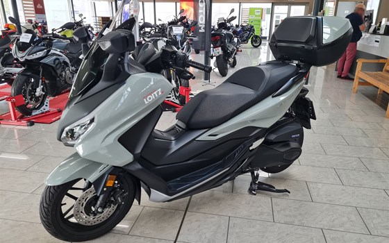 Gebrauchtmotorrad Honda Forza 350 - Bild 3 Gebrauchtmotorrad Honda Forza 350 - Bild 3