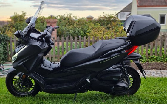 Gebrauchtmotorrad Honda Forza 350 - Bild 1 Gebrauchtmotorrad Honda Forza 350 - Bild 1