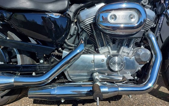 Gebrauchtmotorrad Harley-Davidson Sportster XL 883 L SuperLow - Bild 5
