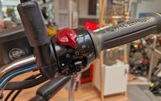 Neufahrzeug Royal Enfield Bear 650 - Bild 12