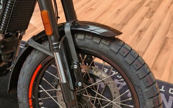 Neufahrzeug Royal Enfield Bear 650 - Bild 2