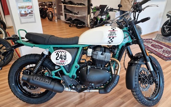 Neufahrzeug Royal Enfield Bear 650 - Bild 1