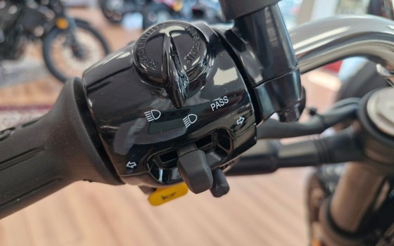 Neufahrzeug Royal Enfield Bear 650 - Bild 12