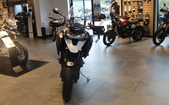 Gebrauchtmotorrad Triumph Tiger 1200 GT PRO - Bild 2