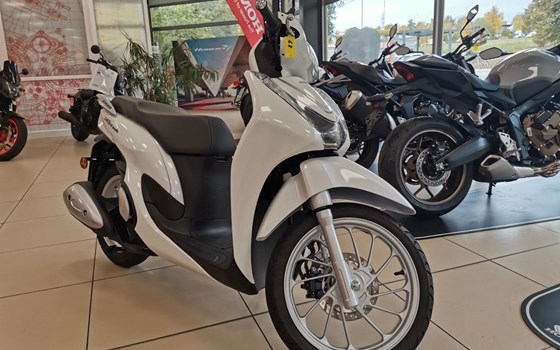 Gebrauchtmotorrad Honda SH125 - Bild 2