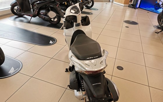 Gebrauchtmotorrad Honda SH125 - Bild 3