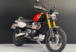 Gebrauchte Triumph Scrambler 1200 XE