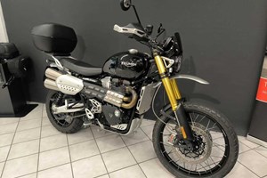 Angebot Triumph Scrambler 1200 XE