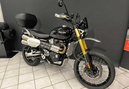 Gebrauchte Triumph Scrambler 1200 XE