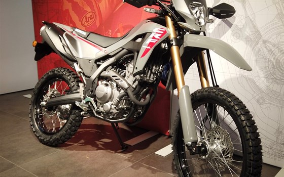 Neufahrzeug Honda CRF300L - Bild 2