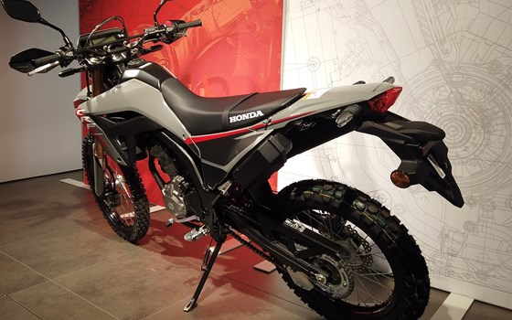 Neufahrzeug Honda CRF300L - Bild 5
