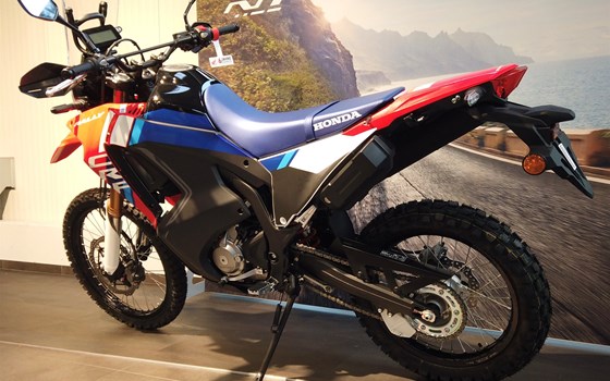 Neufahrzeug Honda CRF300 Rally - Bild 5