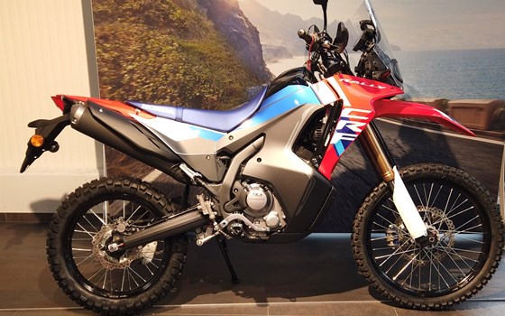 Neufahrzeug Honda CRF300 Rally - Bild 1