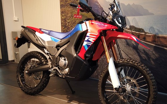 Neufahrzeug Honda CRF300 Rally - Bild 2