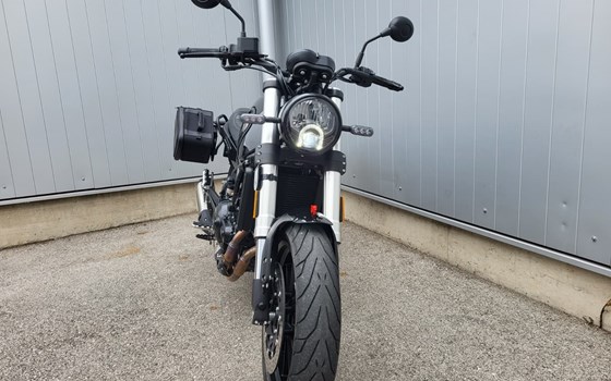 Gebrauchtmotorrad Benelli Leoncino 500 - Bild 2 Gebrauchtmotorrad Benelli Leoncino 500 - Bild 2