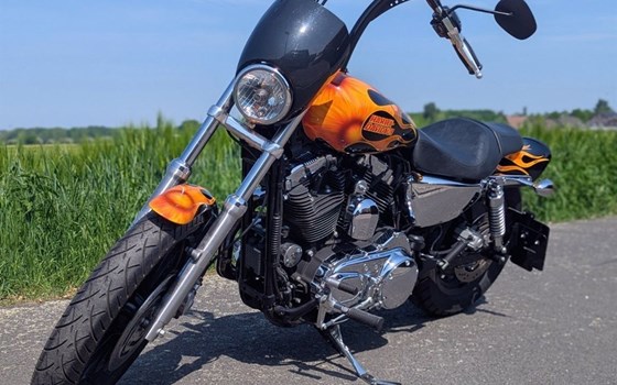 Gebrauchtmotorrad Harley-Davidson Sportster XL 1200 - Bild 3