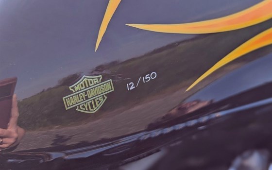 Gebrauchtmotorrad Harley-Davidson Sportster XL 1200 - Bild 6