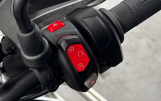 Gebrauchtmotorrad Triumph Tiger 900 Rally Pro - Bild 10