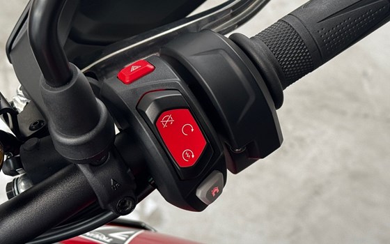 Gebrauchtmotorrad Triumph Tiger 900 GT Pro - Bild 11