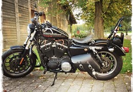 Gebrauchte Harley-Davidson Sportster XL 883 R Roadster