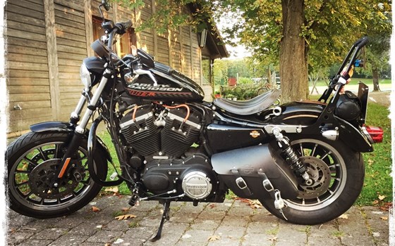 Gebrauchtmotorrad Harley-Davidson Sportster XL 883 R Roadster - Bild 1