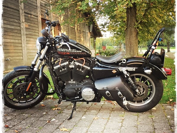 Gebrauchtmotorrad Harley-Davidson Sportster XL 883 R Roadster