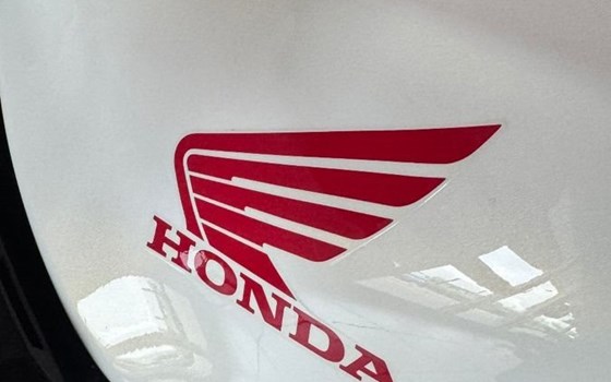 Gebrauchtmotorrad Honda CB500 Hornet - Bild 5