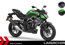 Neumotorrad Kawasaki Z125