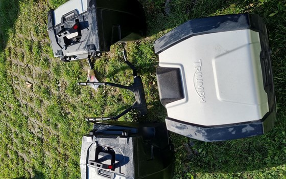 Gebrauchtmotorrad Triumph Tiger 800 - Bild 16