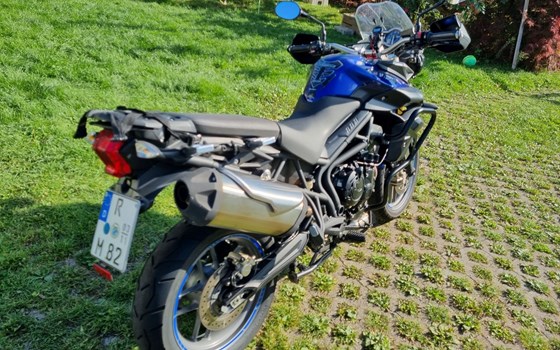 Gebrauchtmotorrad Triumph Tiger 800 - Bild 2