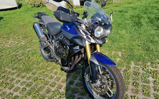 Gebrauchtmotorrad Triumph Tiger 800 - Bild 3