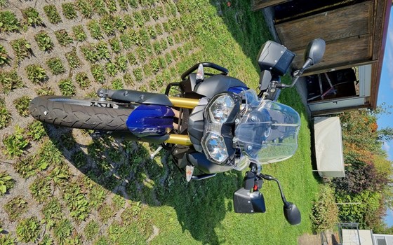 Gebrauchtmotorrad Triumph Tiger 800 - Bild 4