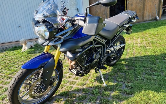 Gebrauchtmotorrad Triumph Tiger 800 - Bild 5