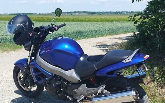 Gebrauchtmotorrad Honda CB 1100 SF X-11 - Bild 3