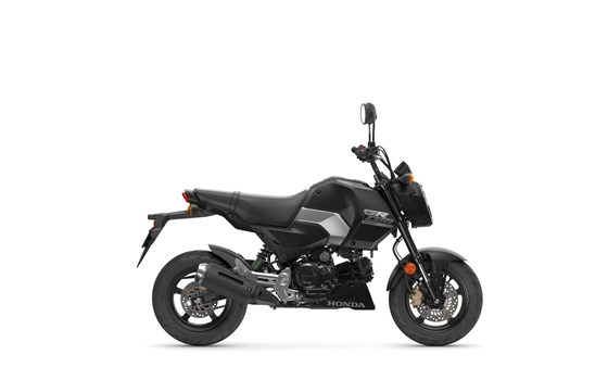 Neufahrzeug Honda MSX125 Grom - Bild 1