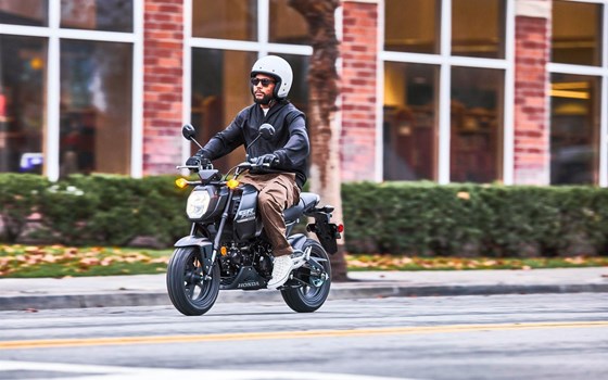 Neufahrzeug Honda MSX125 Grom - Bild 6