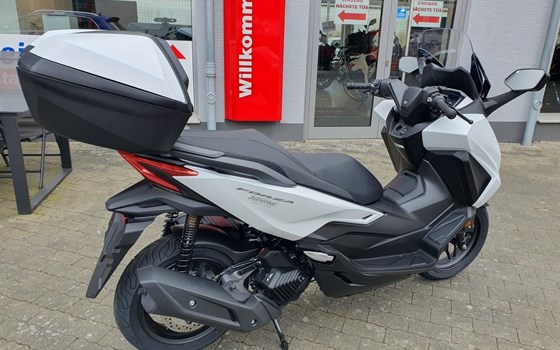 Neufahrzeug Honda Forza 125 - Bild 5
