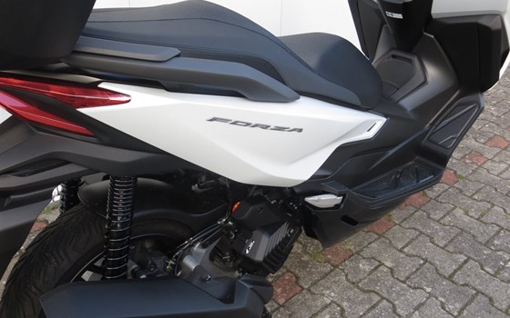 Gebrauchtmotorrad Honda Forza 125 - Bild 3