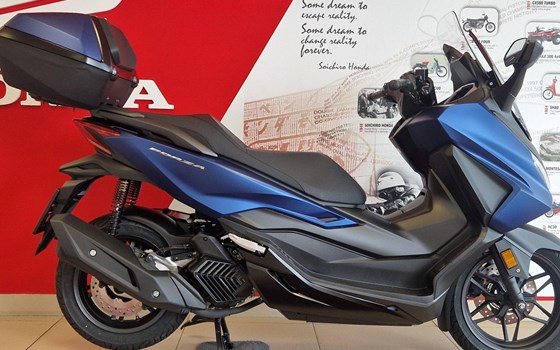Neufahrzeug Honda Forza 125 - Bild 4 Neufahrzeug Honda Forza 125 - Bild 4