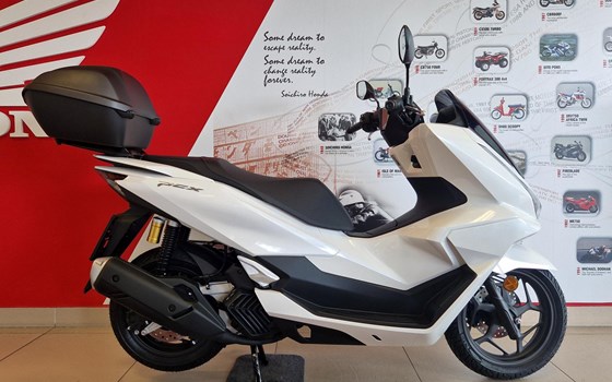 Neufahrzeug Honda PCX125 DX - Bild 6 Neufahrzeug Honda PCX125 DX - Bild 6